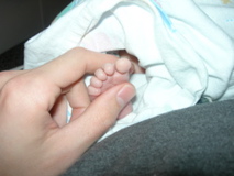 DSCN2384.JPG