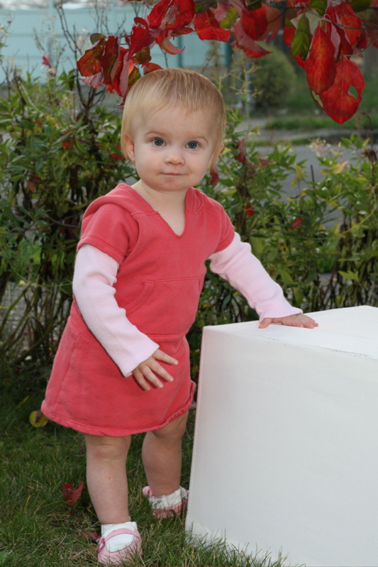IMG_4426.JPG