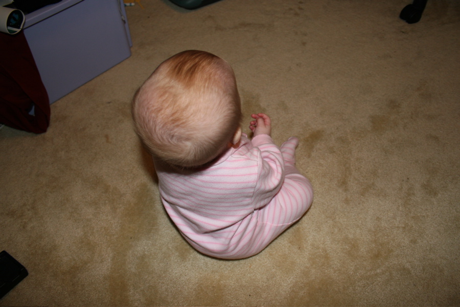 IMG_2380.JPG
